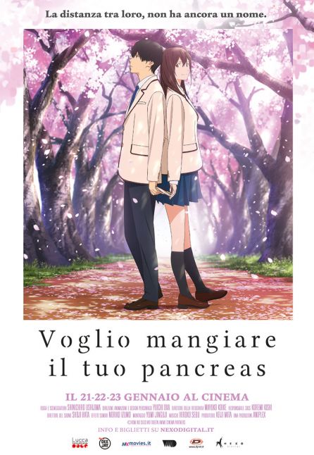 VOGLIO MANGIARE IL TUO PANCREAS - NEXO ANIME 2019 VOGLIO MANGIARE IL TUO PANCREAS - NEXO ANIME 2019